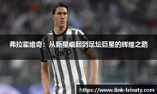 弗拉霍维奇：从新星崛起到足坛巨星的辉煌之路